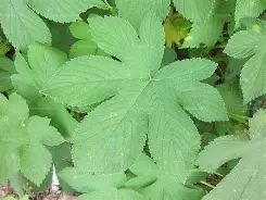 t2瀲e辔Dp$葎臝PU??葬駹je〒扺袨1z?	??;`蹺S萆DEV#嶤塡酉蒅??#?V-K鳂?谇?粌?窯[衫oN躵U8商吗崪B??埻R0瞦G餝s嘊?J冁H蝩?打贜F/矢的简单介绍-3377彩票